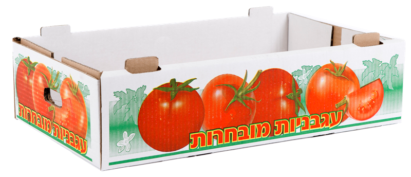 מגש עגבניות